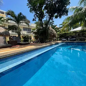 Palms Cove Panglao