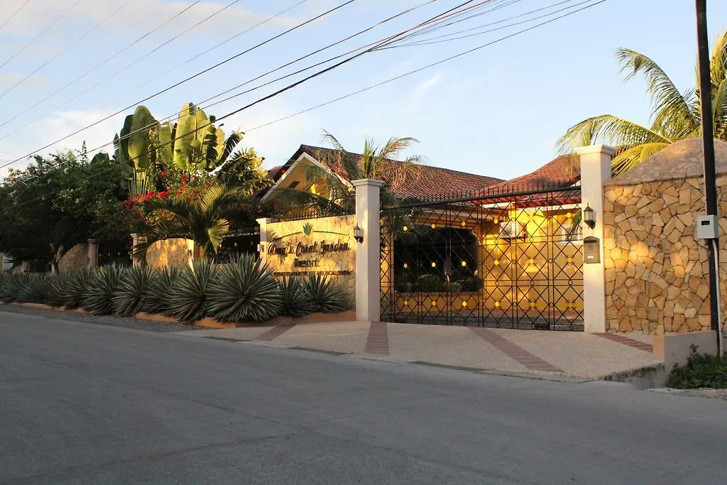 Alona'S Coral Garden Resort (Adults Only) Panglao-stad